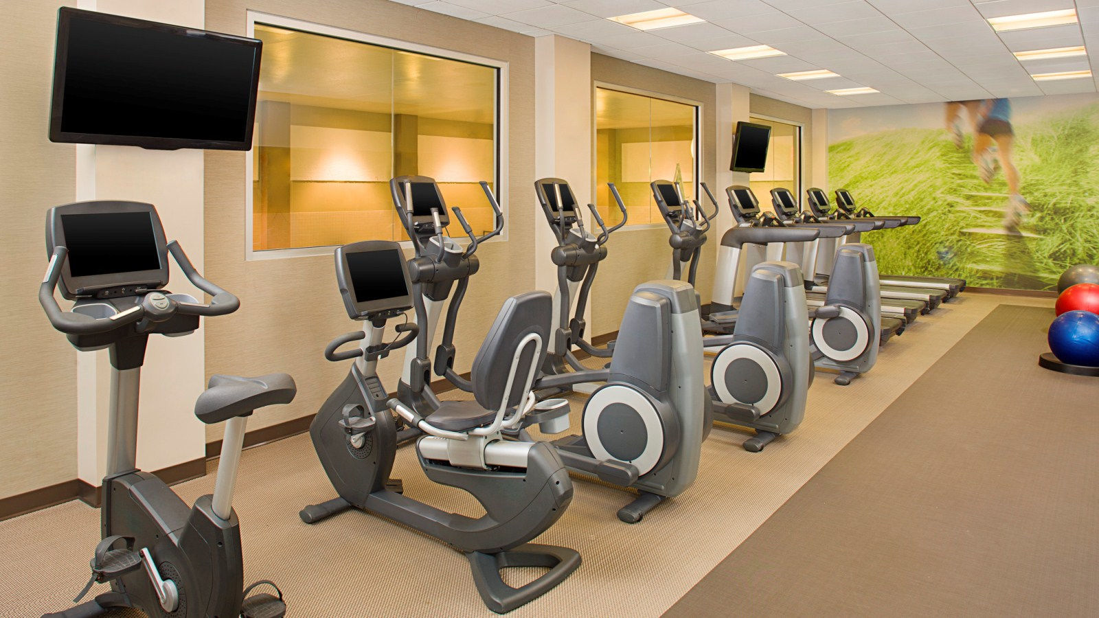 The Westin Chicago North Shore Wheeling Удобства фото